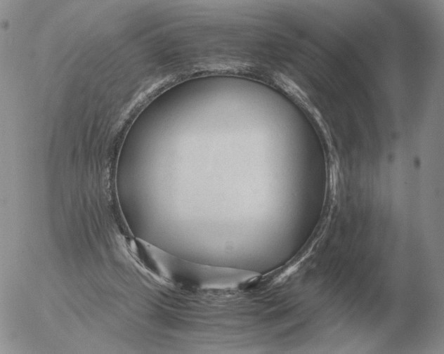 X0000053110249200508012132