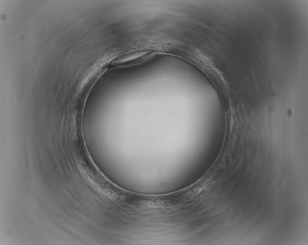 X0000053110250200508012132