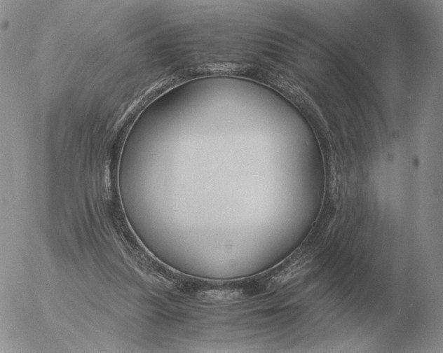 X0000053110251200508012132