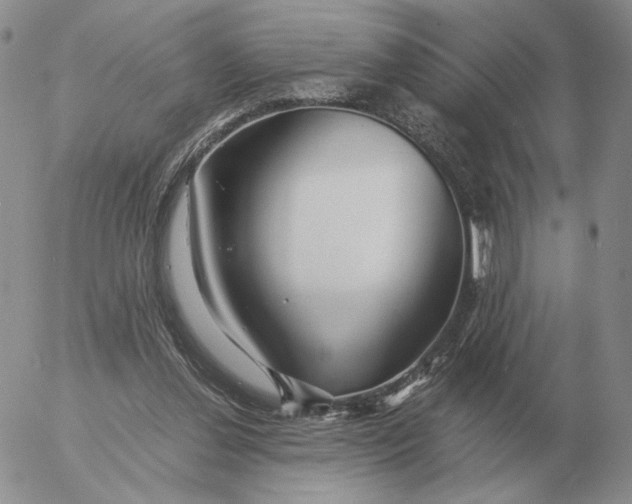 X0000053110252200508012132