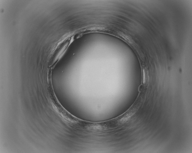 X0000053110253200508012132