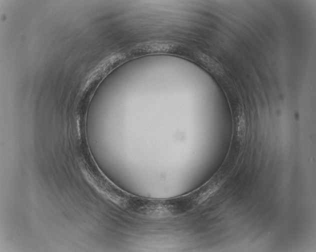 X0000053110254200508012132