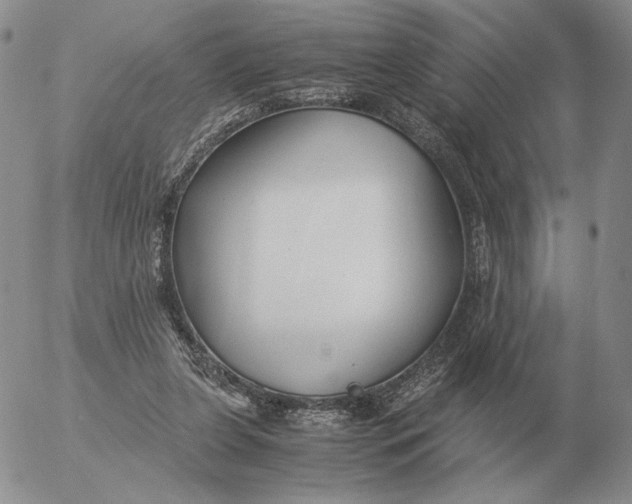 X0000053110255200508012132