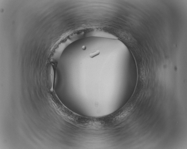 X0000053110256200508012132