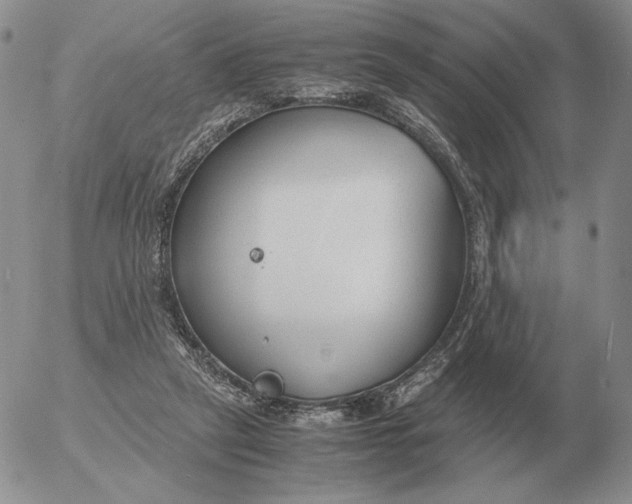 X0000053110257200508012132