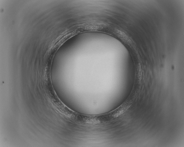 X0000053110258200508012132