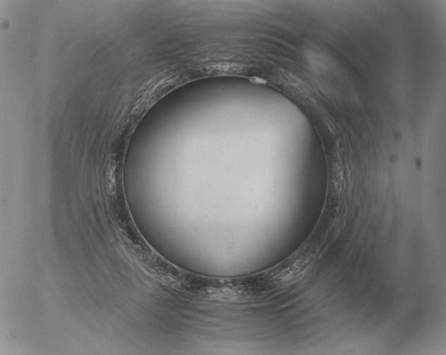 X0000053110259200508012132