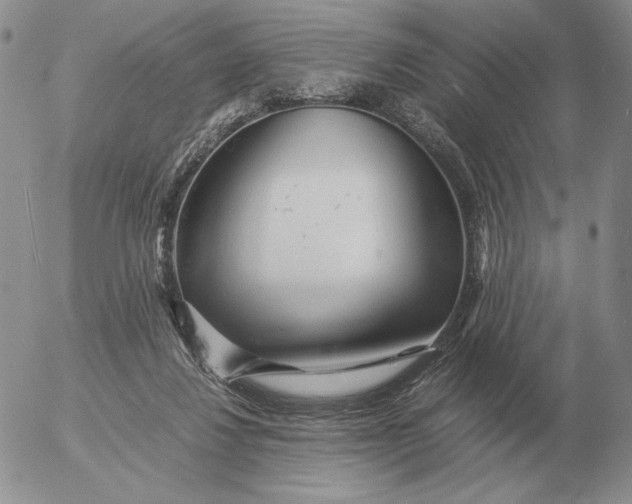 X0000053110260200508012132