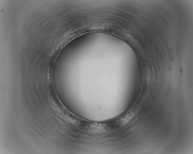 X0000053110261200508012132