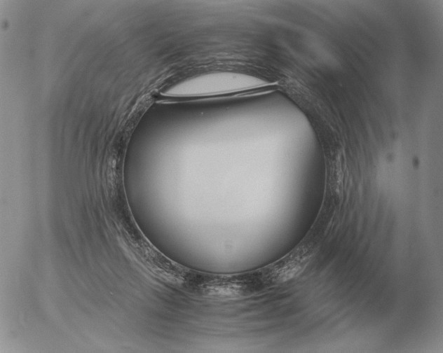 X0000053110263200508012132