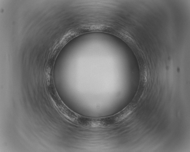 X0000053110264200508012132