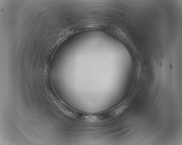 X0000053110265200508012132