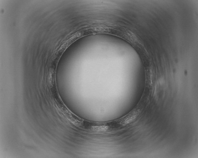 X0000053110266200508012132