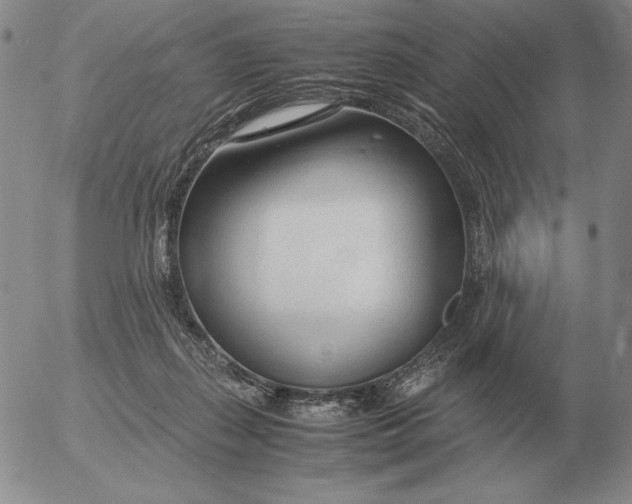 X0000053110267200508012132