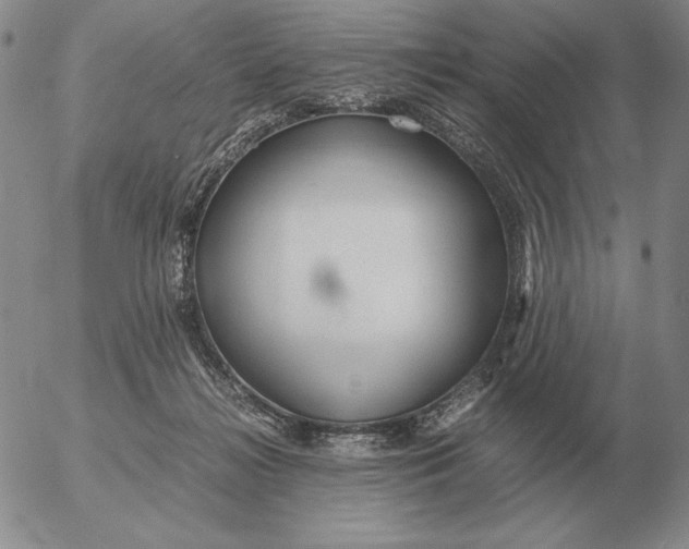 X0000053110268200508012132