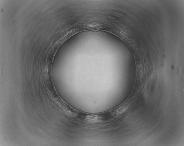 X0000053110269200508012132