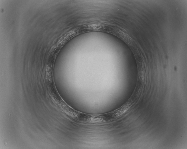 X0000053110270200508012132