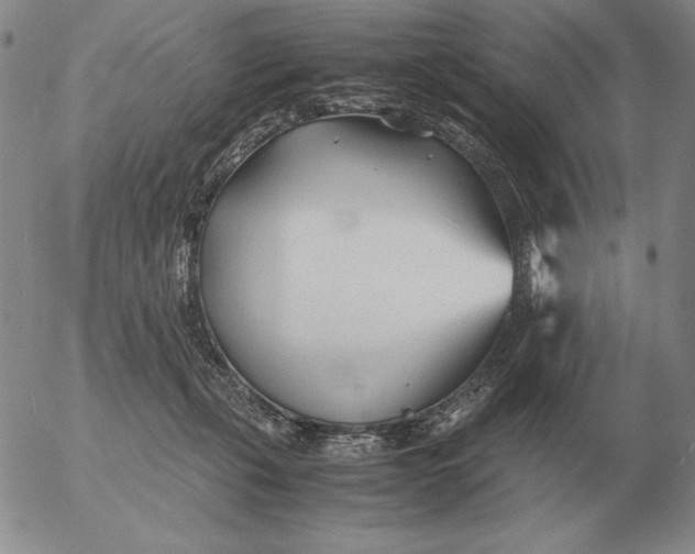 X0000053110271200508012132