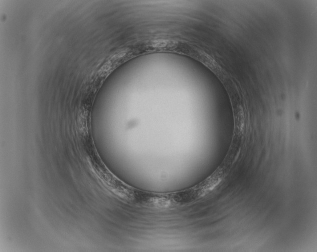 X0000053110272200508012132