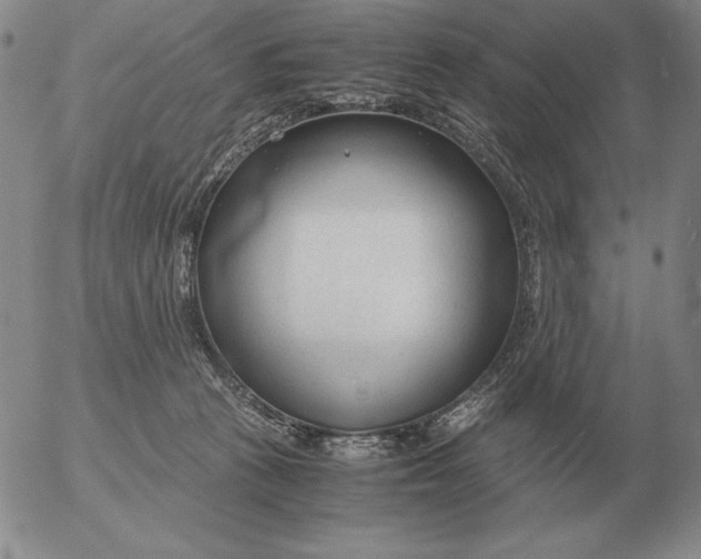 X0000053110273200508012132