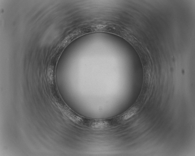 X0000053110274200508012132