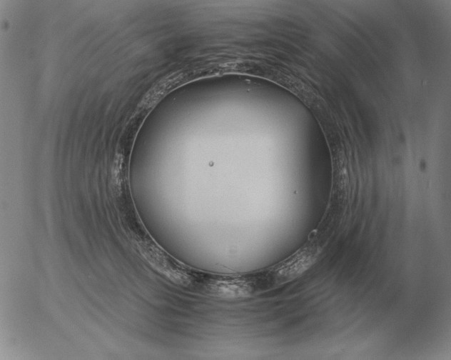 X0000053110275200508012132