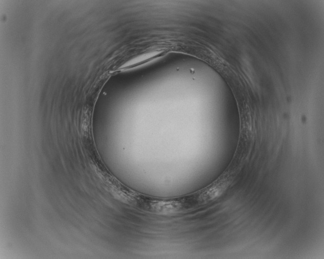 X0000053110277200508012133