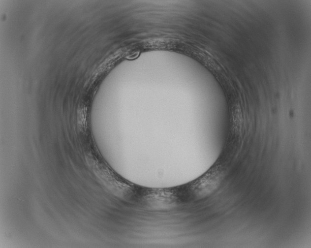 X0000053110278200508012133