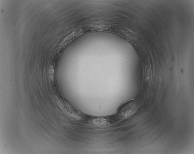 X0000053110279200508012133