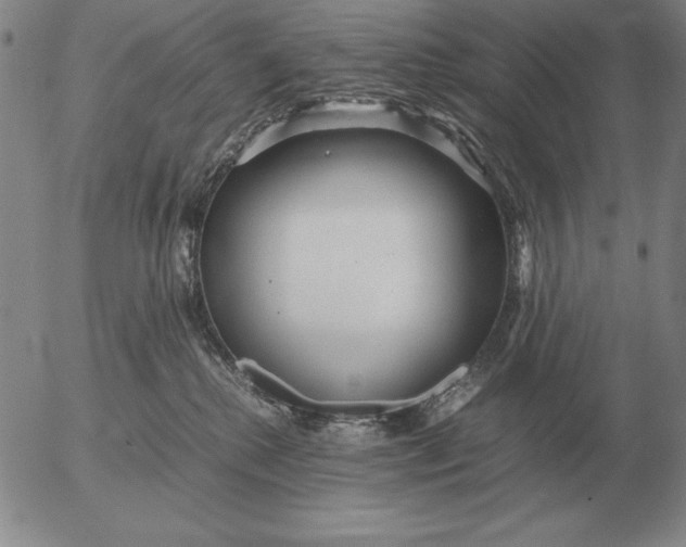 X0000053110280200508012133