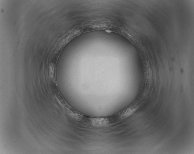 X0000053110281200508012133