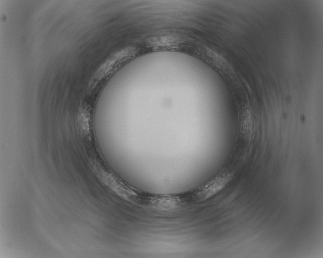 X0000053110282200508012133