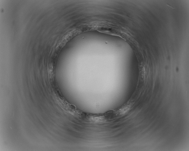 X0000053110283200508012133