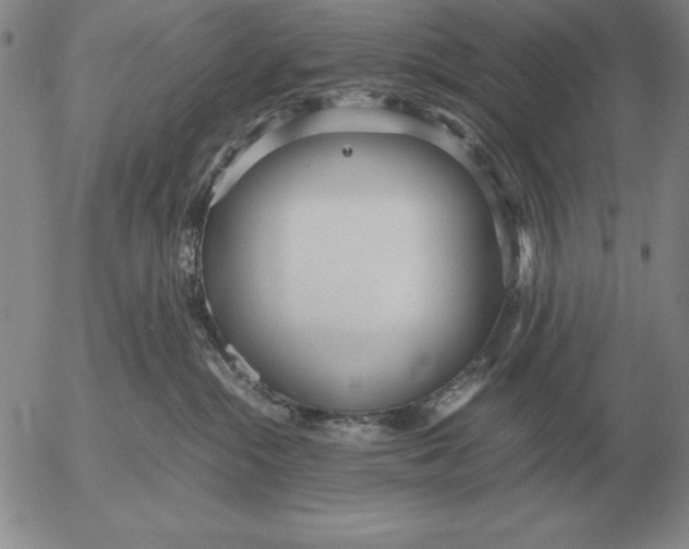 X0000053110284200508012133