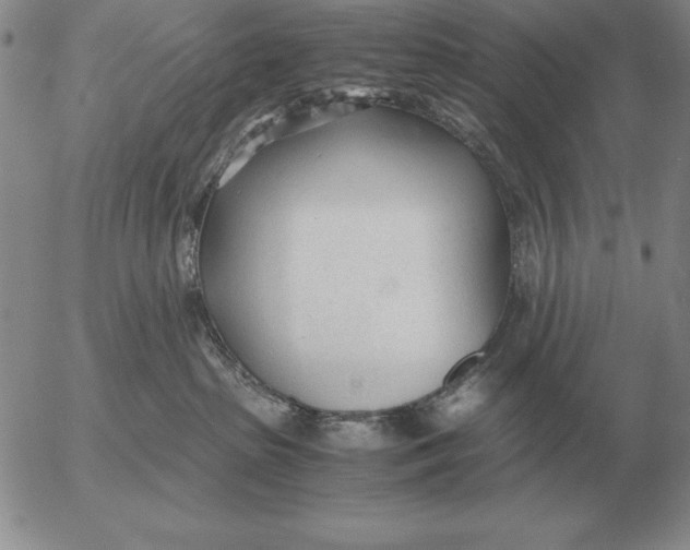 X0000053110285200508012133