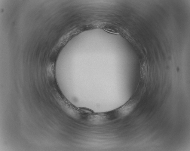 X0000053110286200508012133