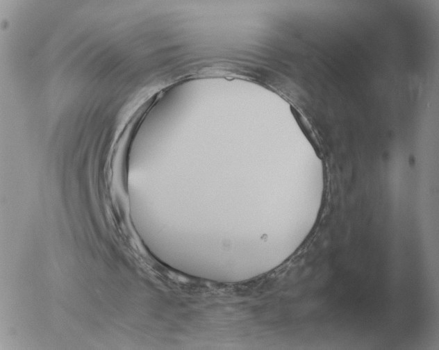 X0000053110289200508012132