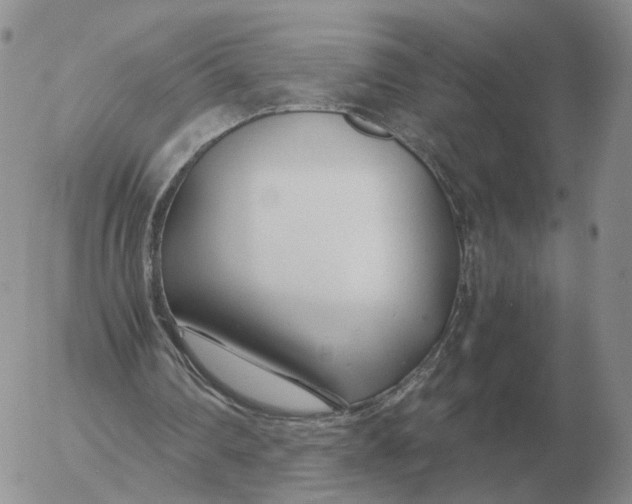 X0000053110290200508012132