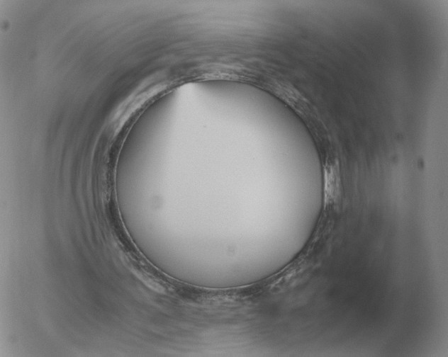 X0000053110291200508012132