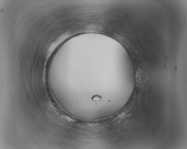 X0000053110292200508012132