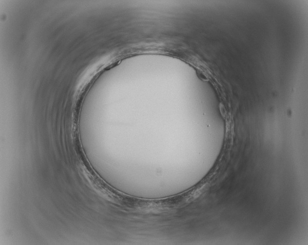 X0000053110293200508012132