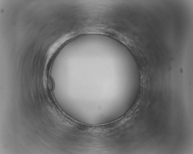 X0000053110294200508012132