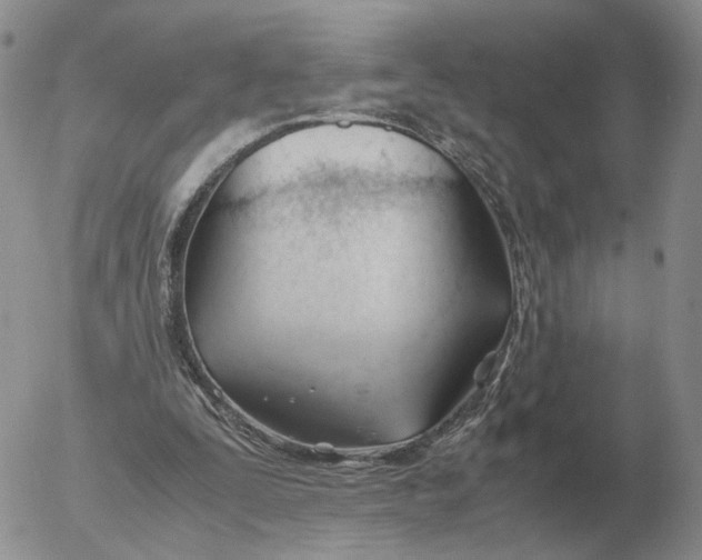 X0000053110295200508012132