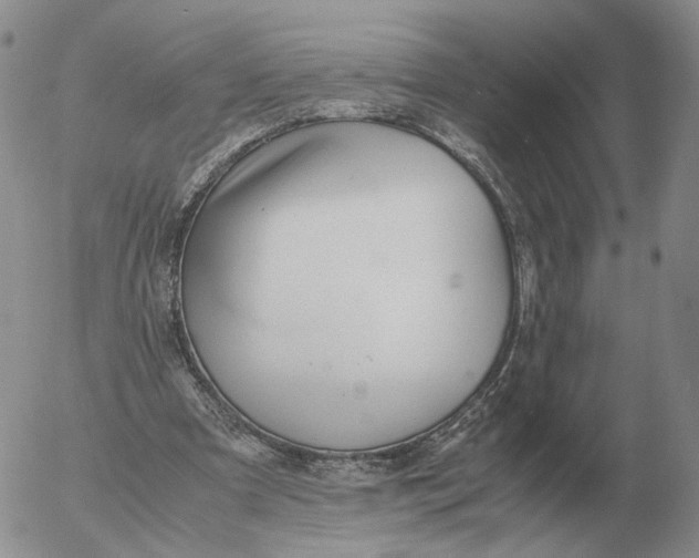 X0000053110297200508012132