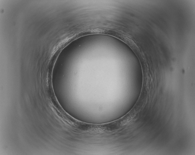 X0000053110299200508012132