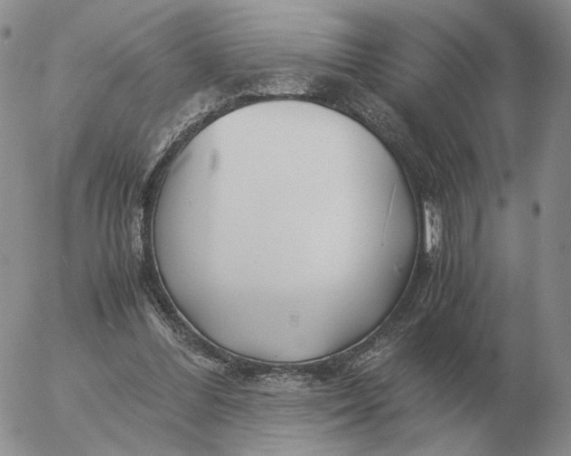 X0000053110300200508012132