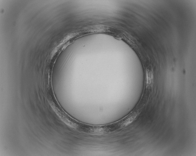 X0000053110301200508012132