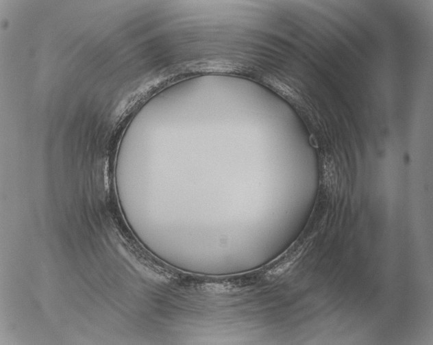 X0000053110302200508012132