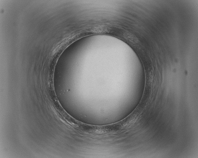 X0000053110303200508012132