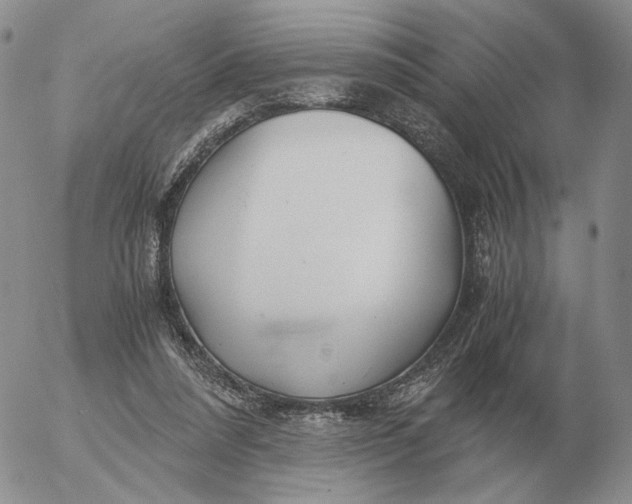 X0000053110304200508012132